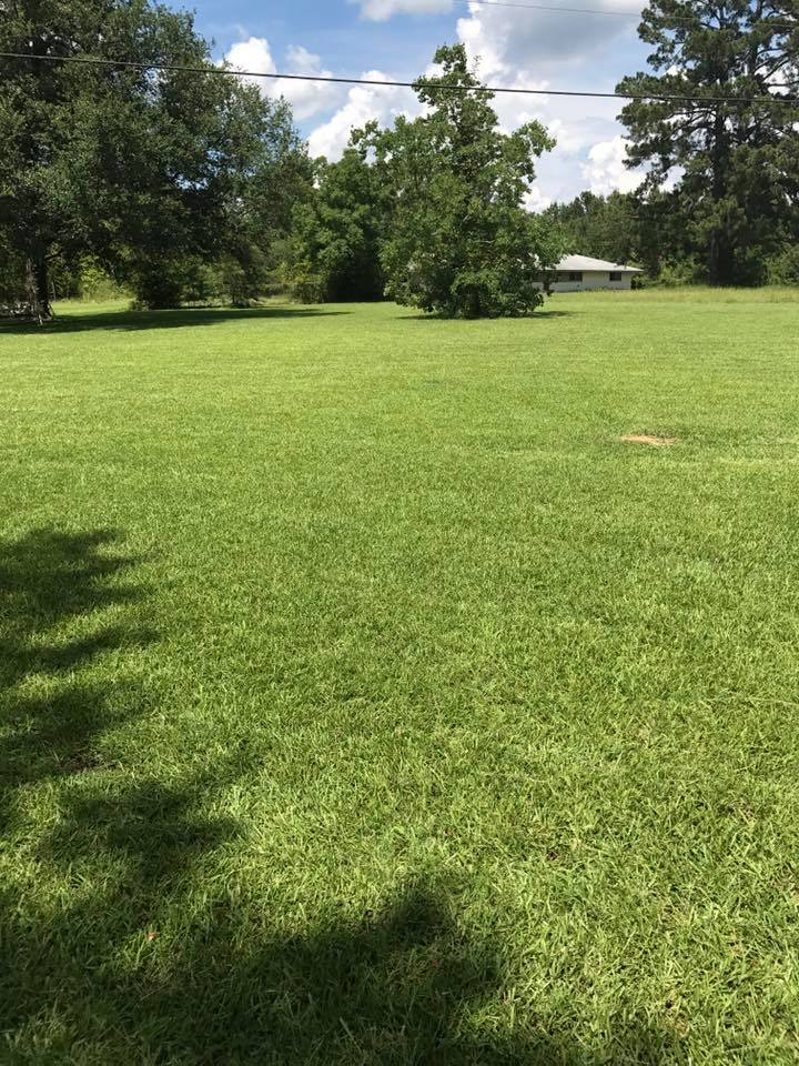 Burton's Lawn in 71119 Shreveport Louisiana